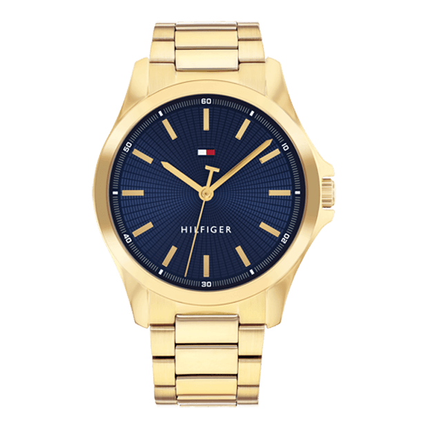 Montre Tommy Hilfiger Bruce - 1710679