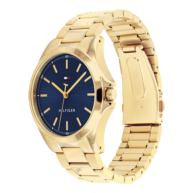 Montre Tommy Hilfiger Bruce - 1710679