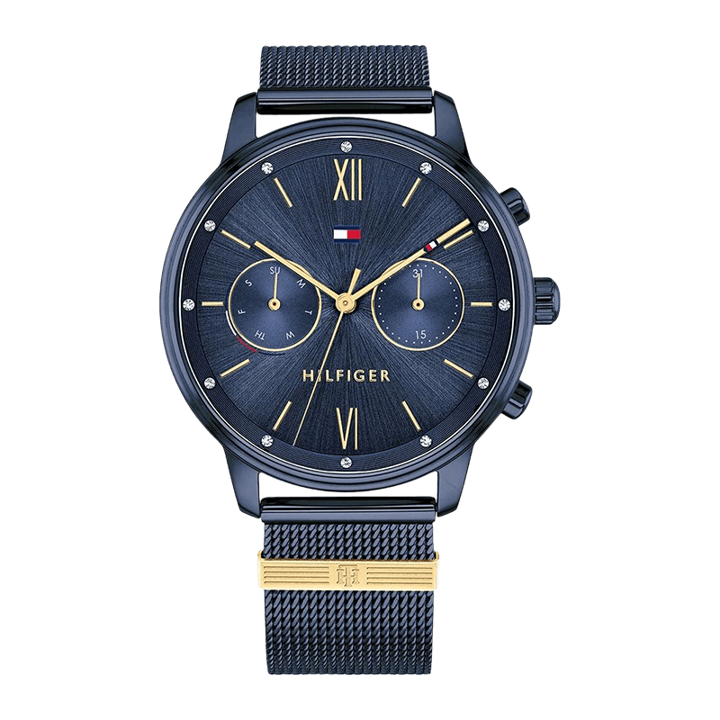 Montre Femme Tommy Hilfiger Blake Bracelet Acier - 1782305