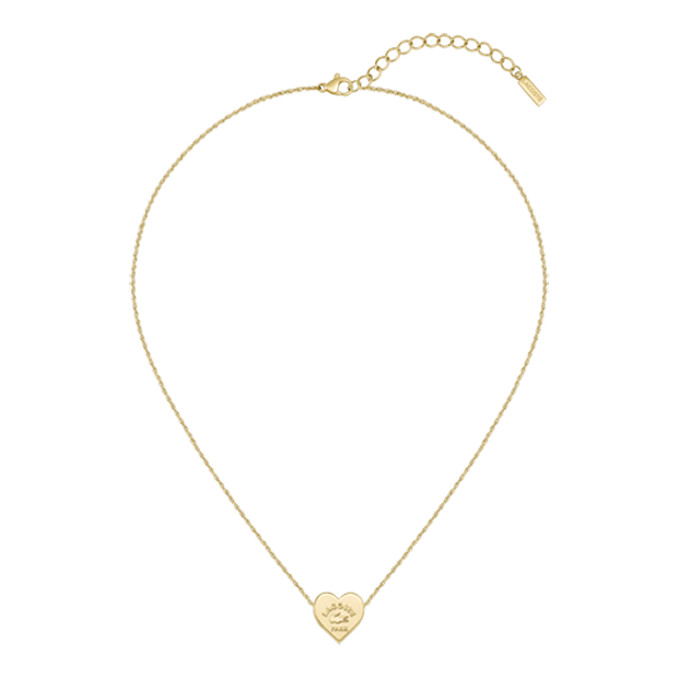 Collier Acier Inoxydable 316L Lacoste Crochet