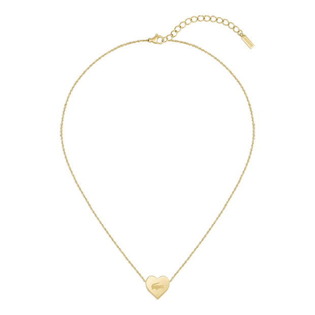 Collier Acier Inoxydable 316L Lacoste Crochet