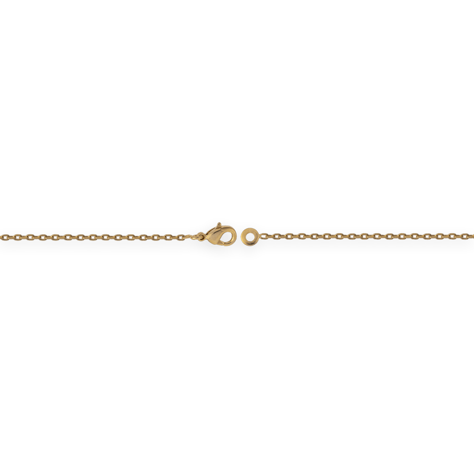 Bracelet Plaqué Or Chaïne Colibri Cerclé