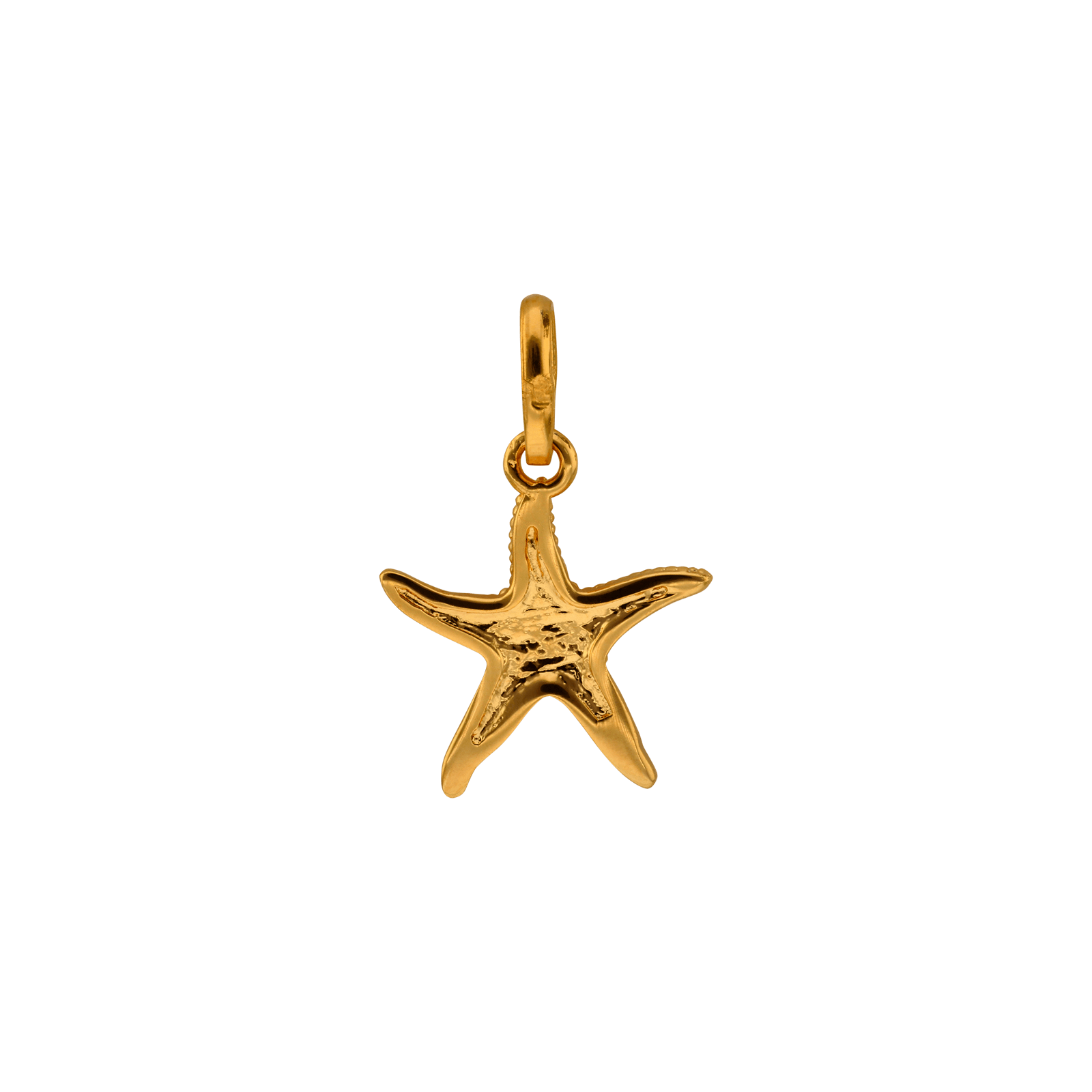 Pendentif Plaque Or étoile de mer