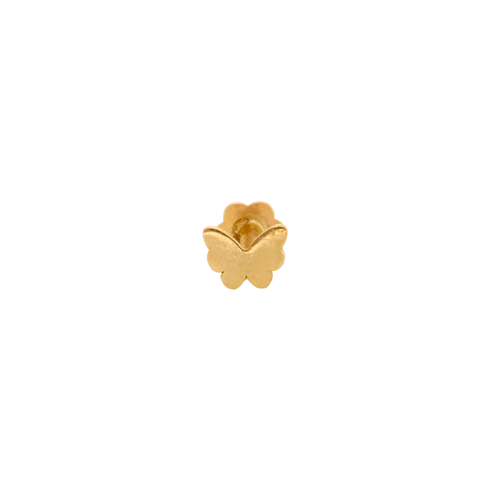 piercing cartilage papillon