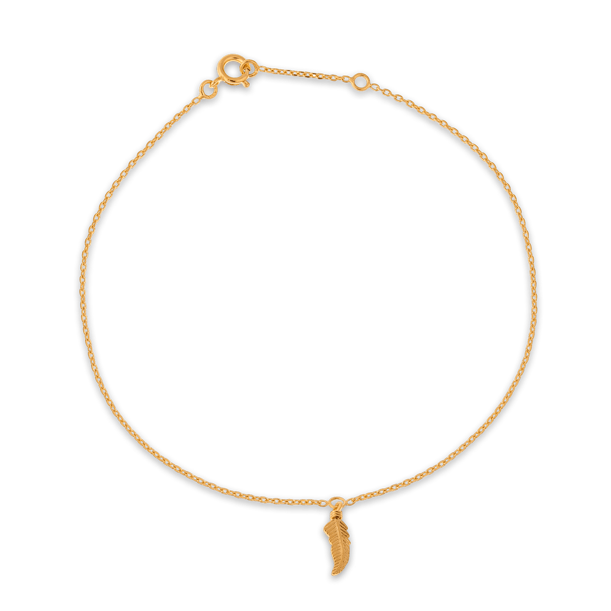Chaîne Cheville Plaqué Or 25 à 27cm Plume 12*4mm