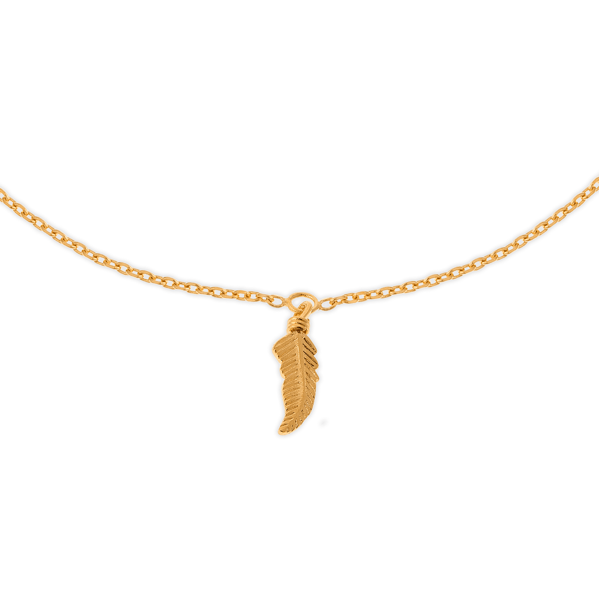 Chaîne Cheville Plaqué Or 25 à 27cm Plume 12*4mm