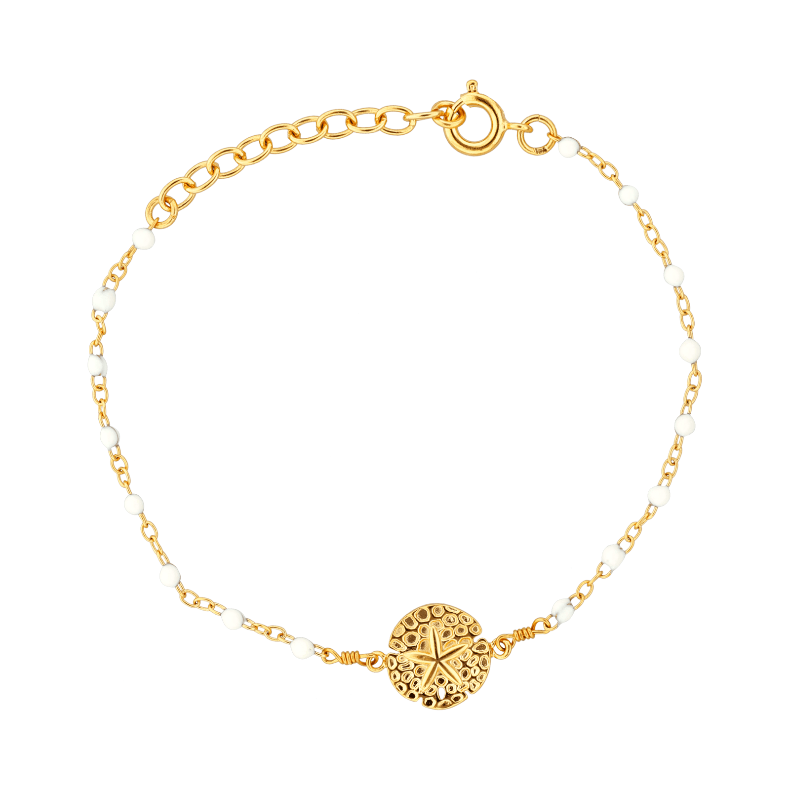 Chaîne Cheville Dollar Des Sables 10mm 25A27cm Plaqué Or