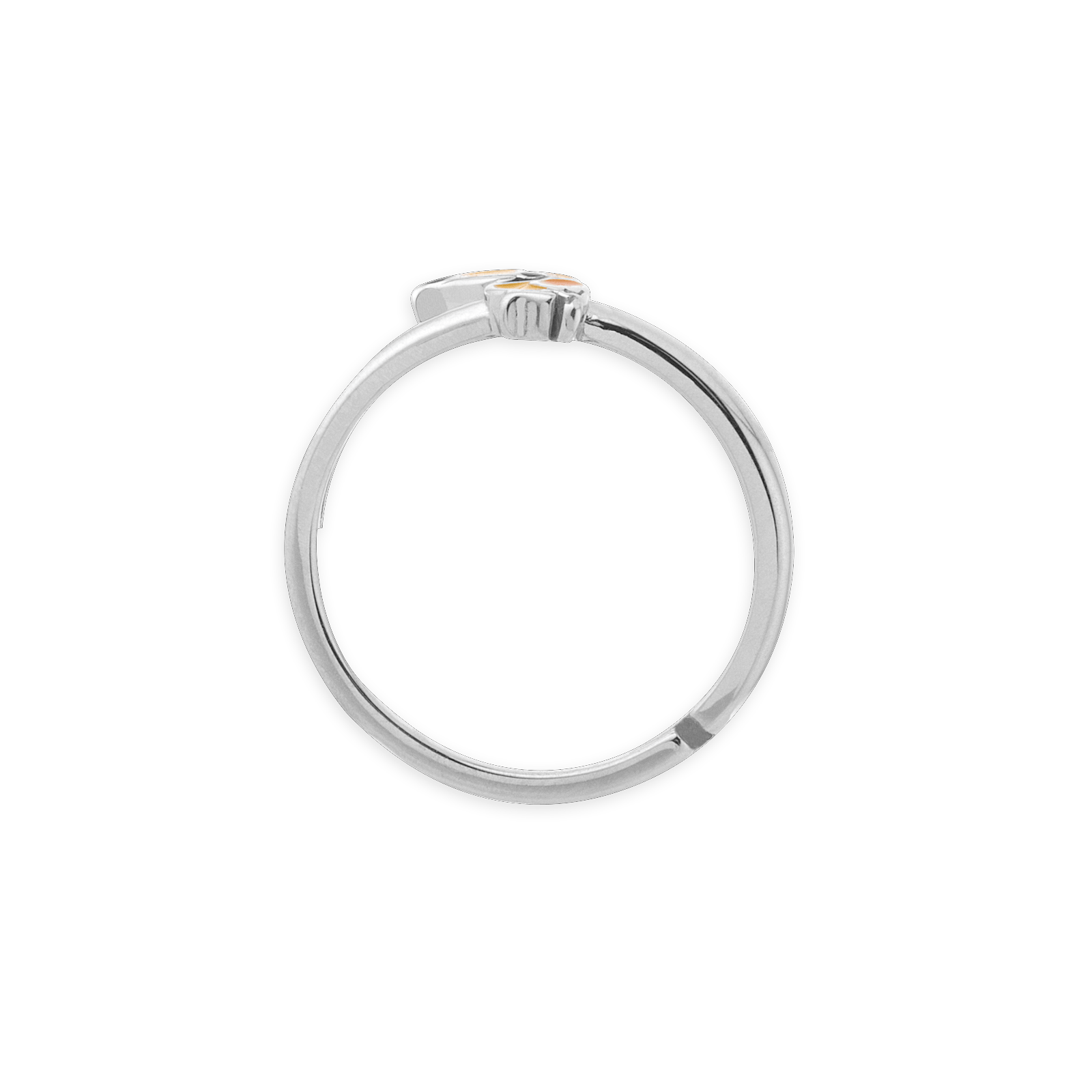 bague argent toucan