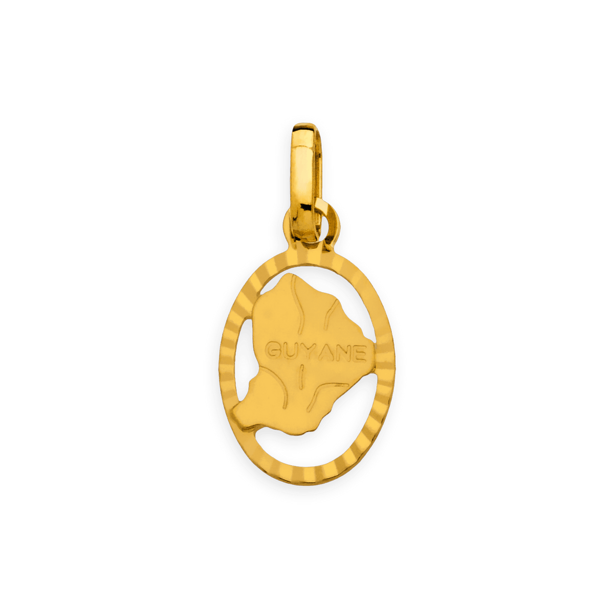 Pendentif Or 750 Carte Guyane Cerclée Ovale 9*12mm Avec Bélière