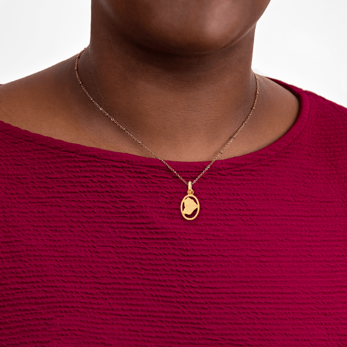 Pendentif Or 750 Carte Guyane Cerclée Ovale 9*12mm Avec Bélière