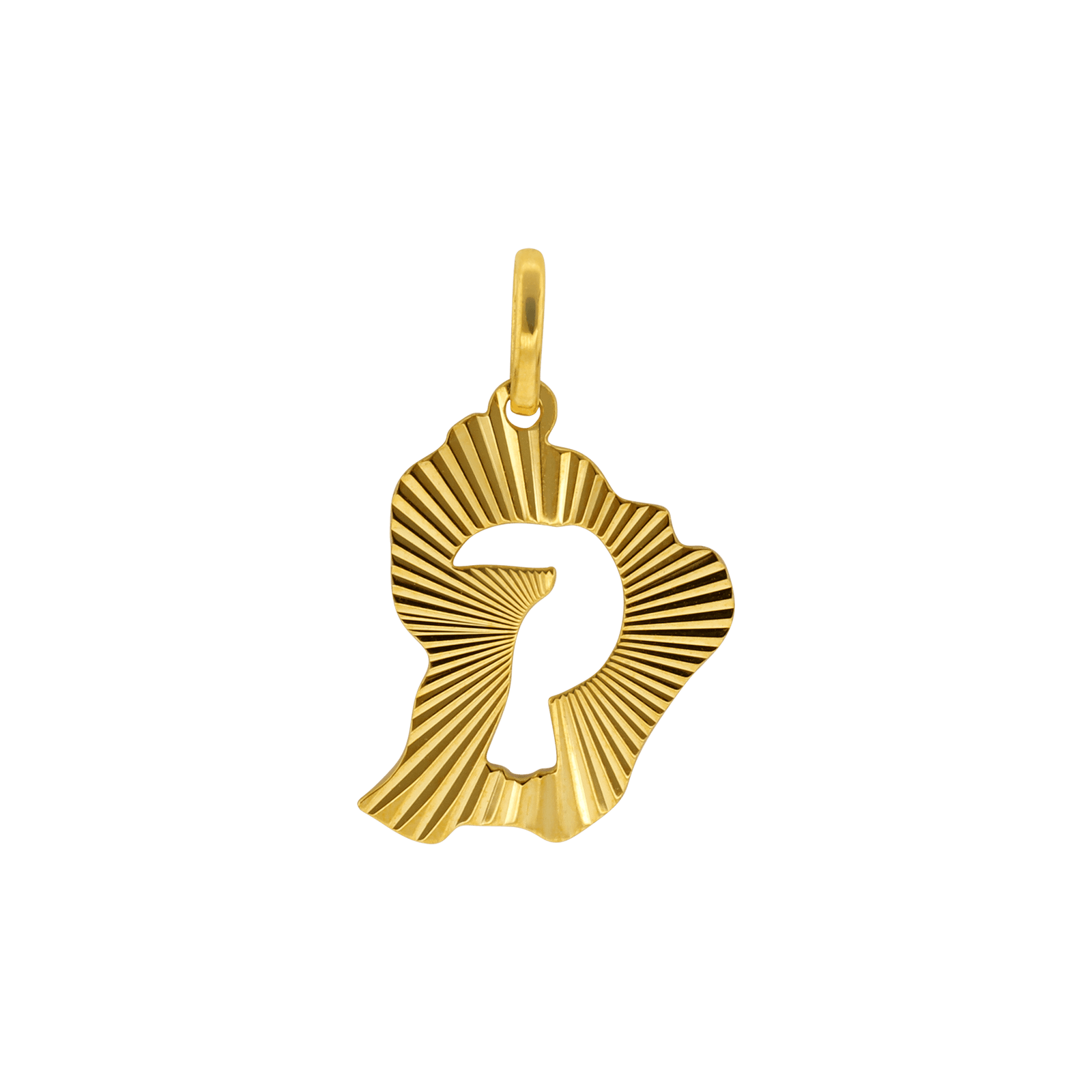 Pendentif carte Guyane Diamanté Toucan ajouré