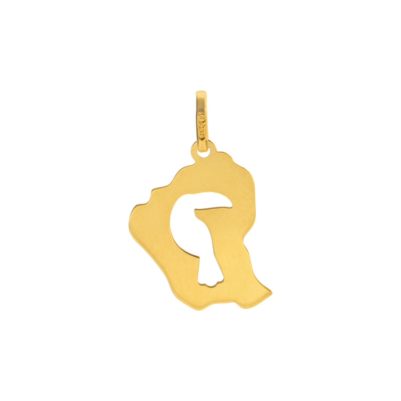 Pendentif carte Guyane Diamanté Toucan ajouré