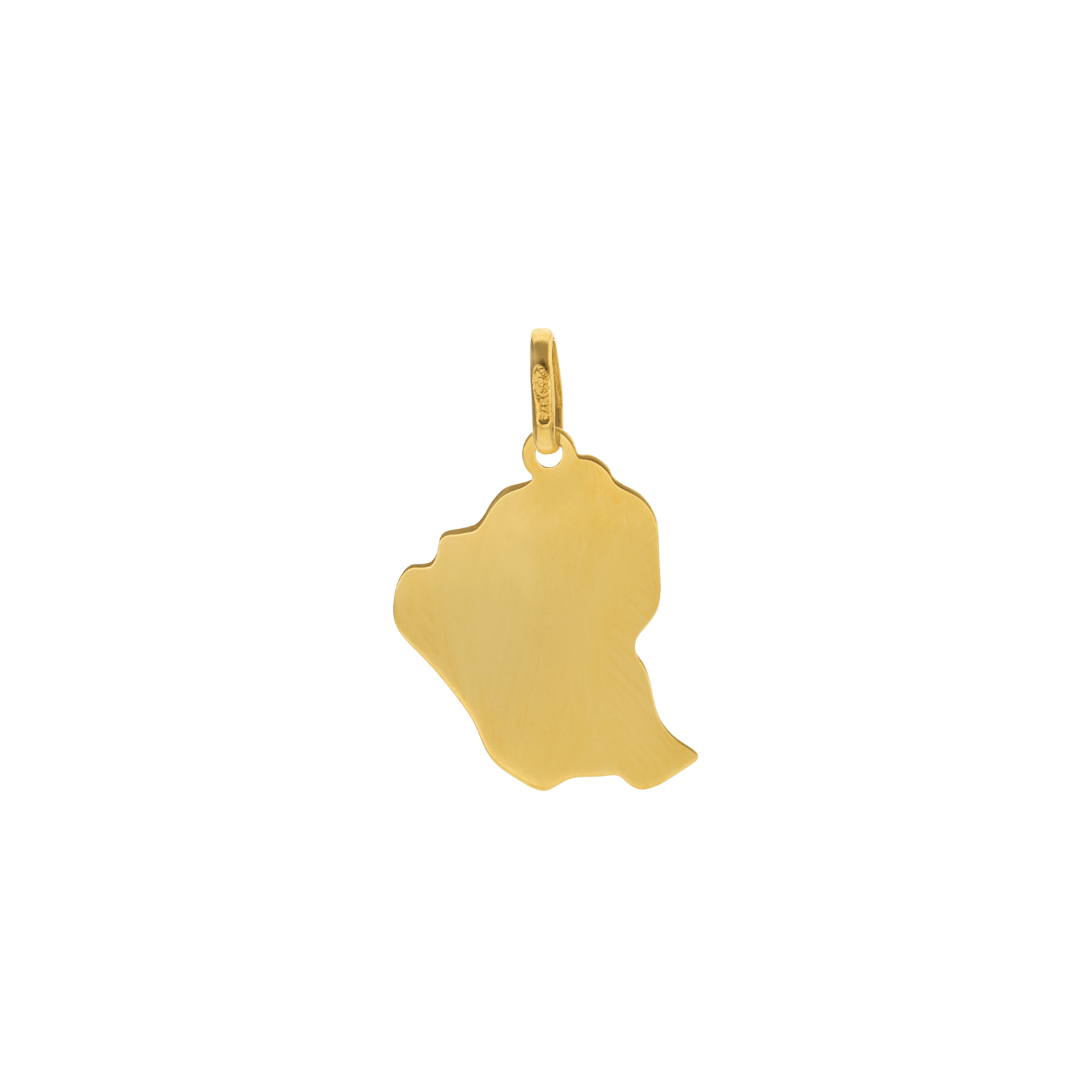 pendentif carte guyane tortue gravée