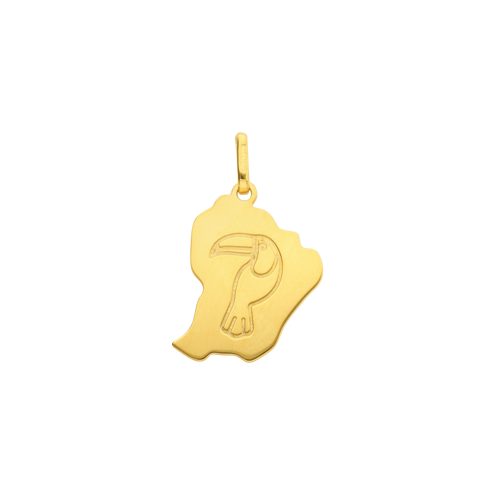 Pendentif Carte Guyane Toucan gravée
