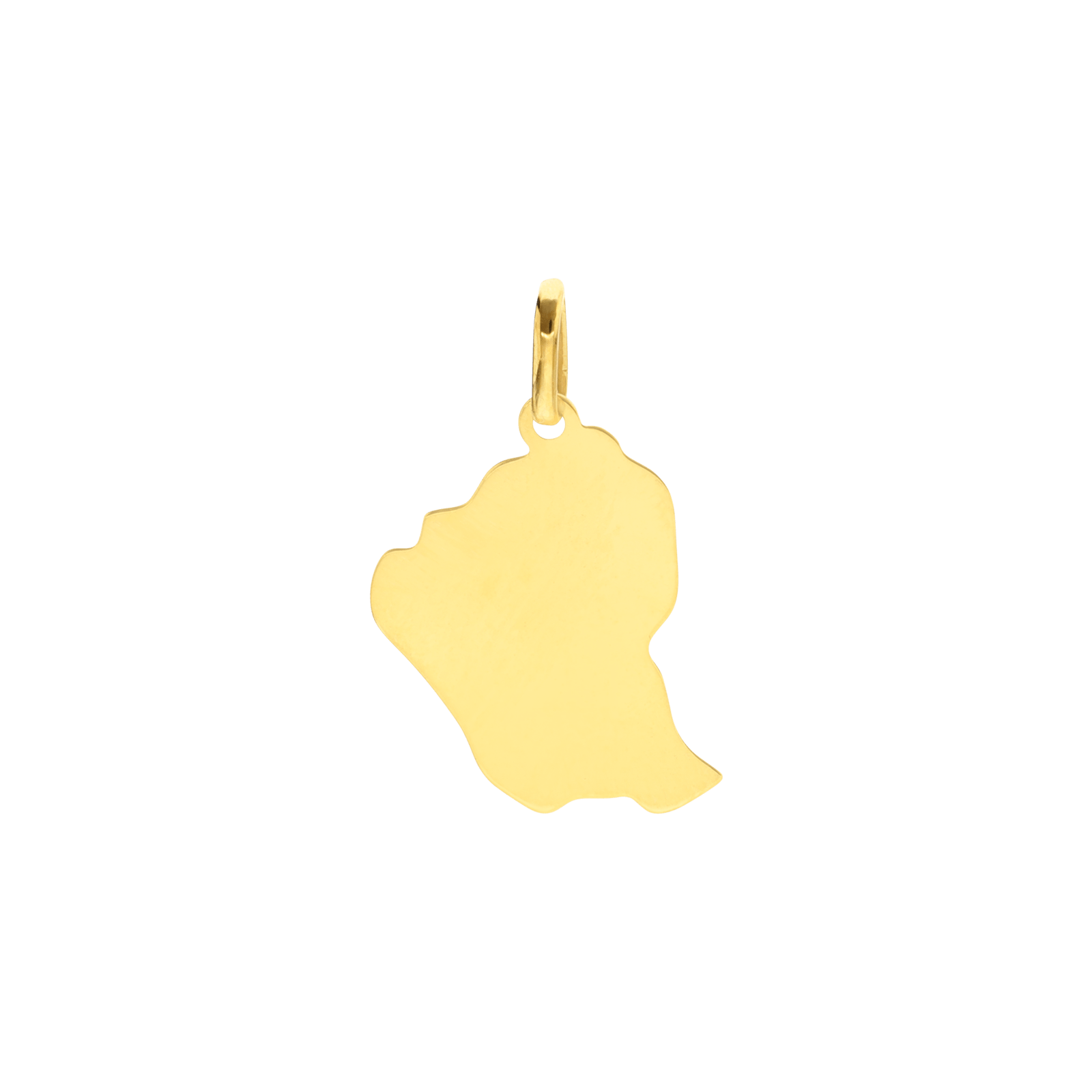 Pendentif Carte Guyane Toucan gravée