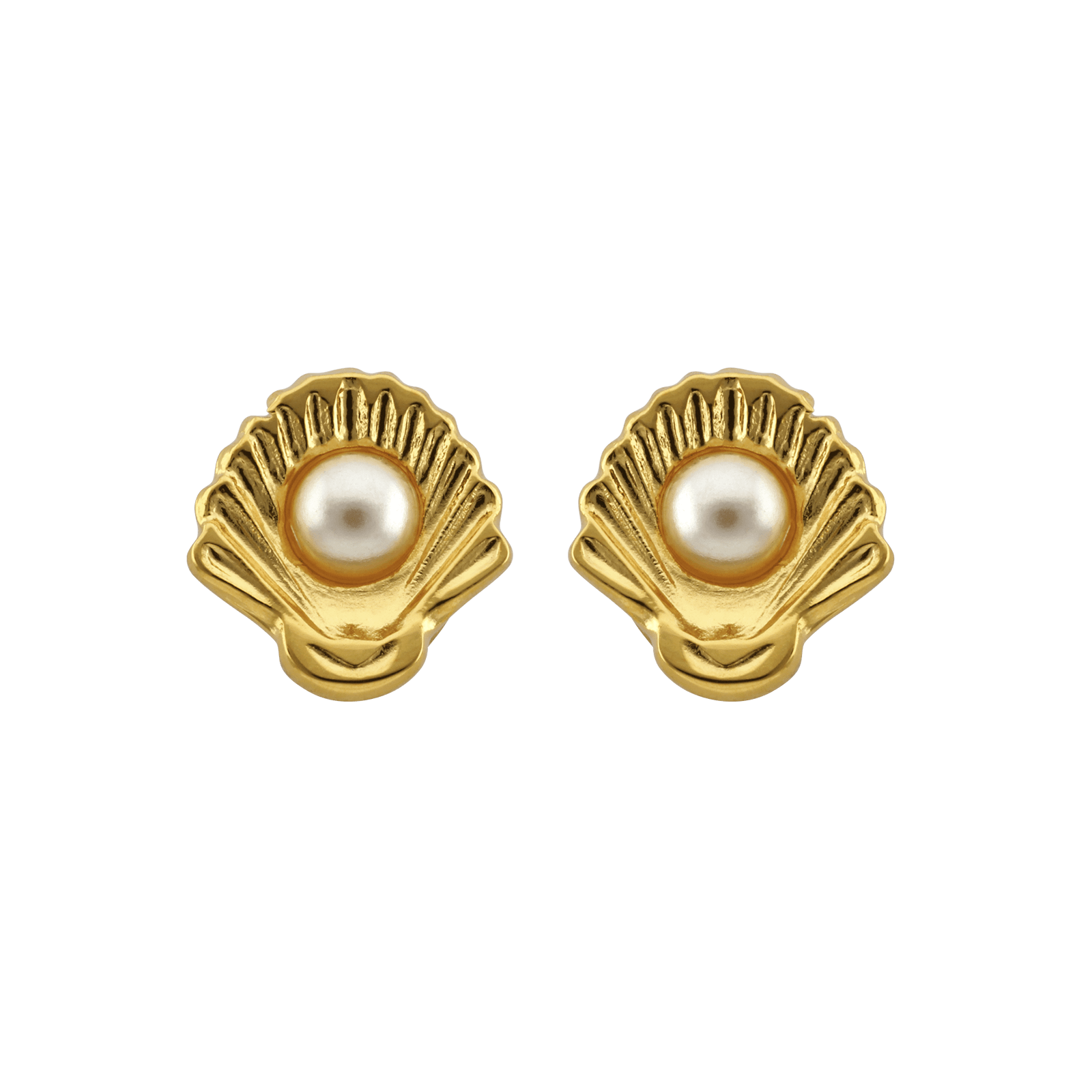 Boucles d'Oreilles Callas Acier doré Coquille Saint Jacques Perle