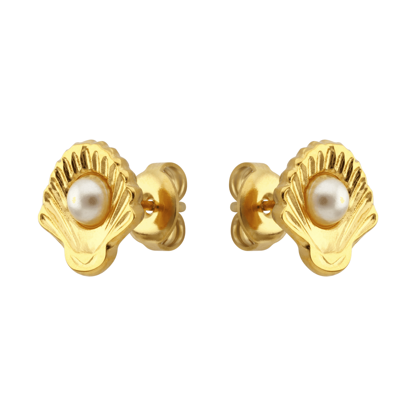 Boucles d'Oreilles Callas Acier doré Coquille Saint Jacques Perle