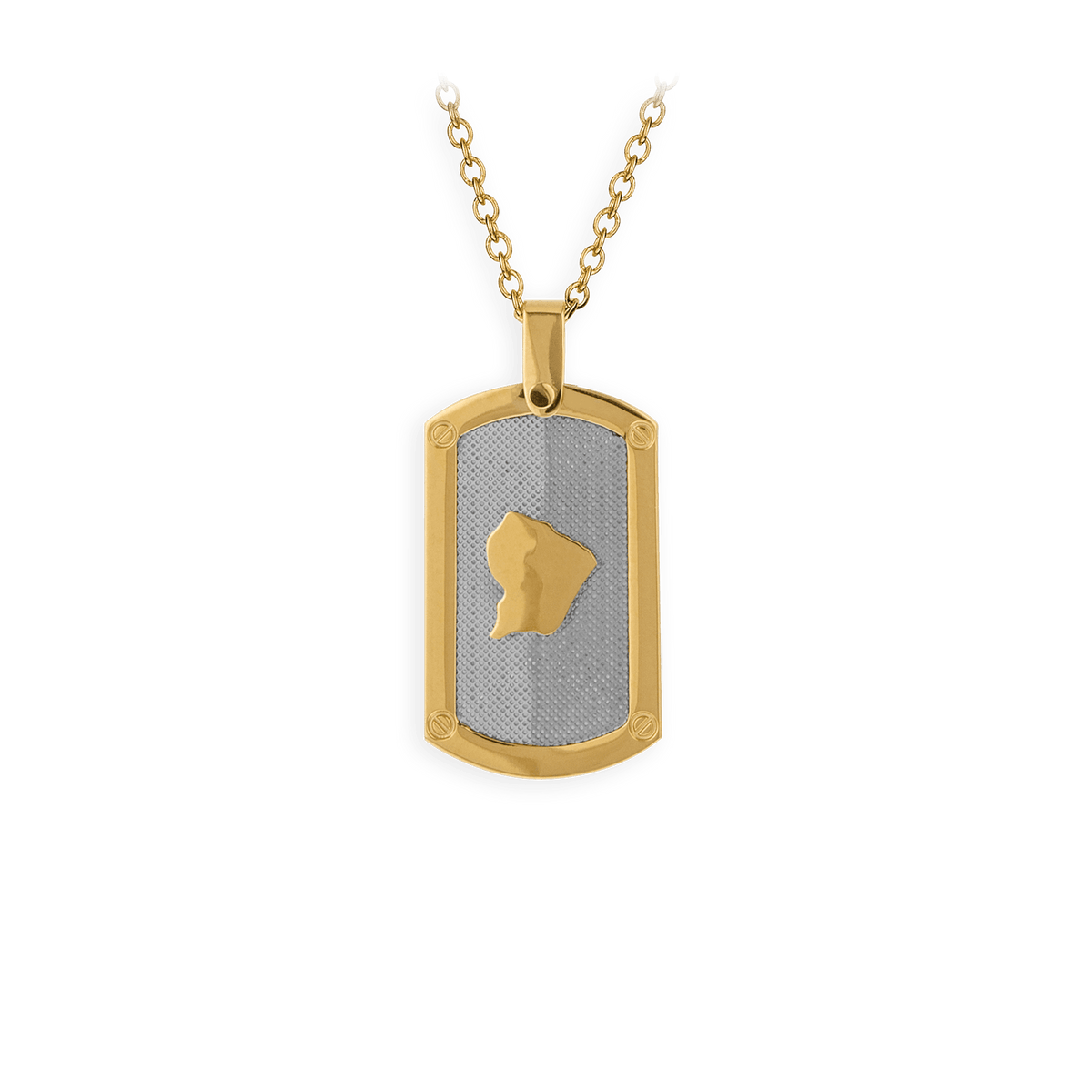 Collier Acier Bicolore Carte Guyane Chaîne 2mm Plaque 19*30mm 50 à 55cm