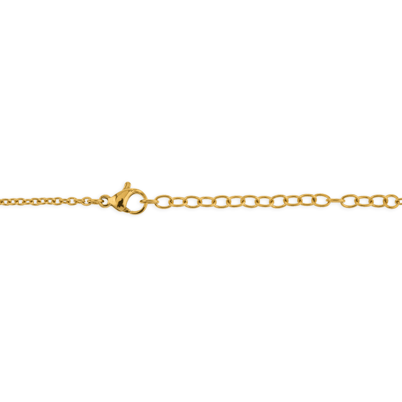 Collier acier bicolore carte de la Guyane