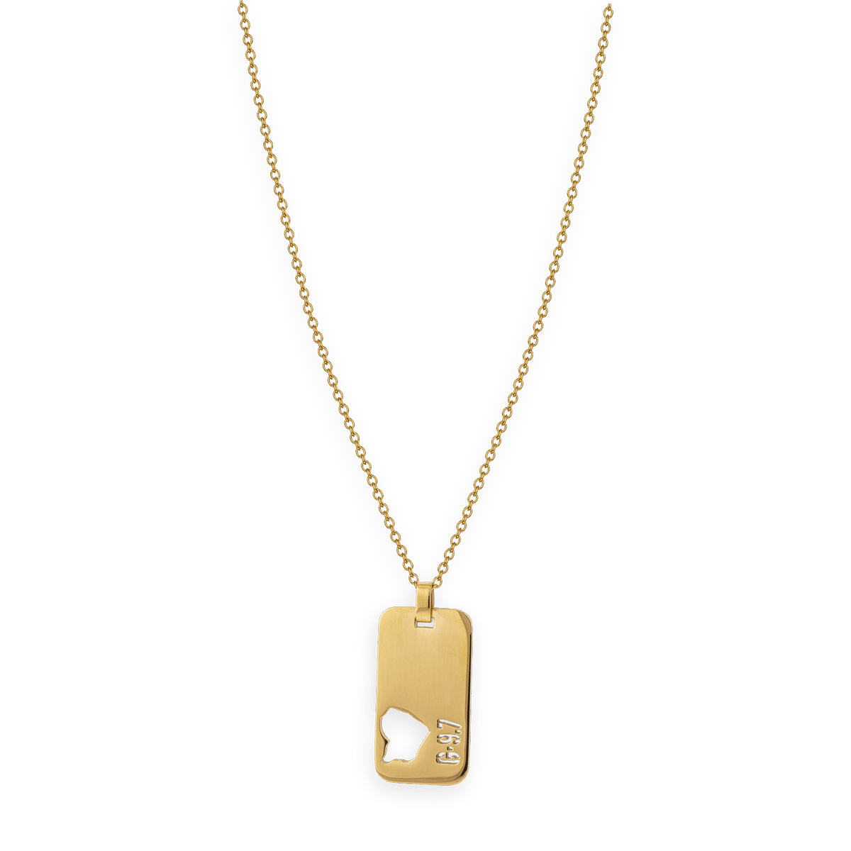 Collier Acier Jaune G.9.7 Carte Guyane Ajourée Chaîne 2mm Plaque 19*30mm 50 à 55cm