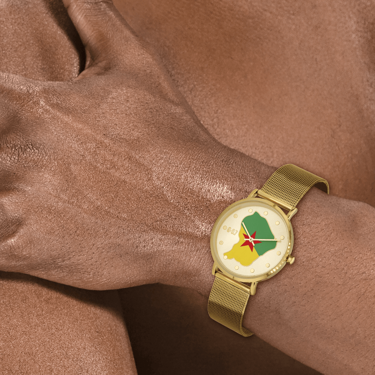 Montre Homme G97 Carte Drapeau Guyane Cadran Doré 36.6mm Brac Mesh Doré 17.5mm 3ATM