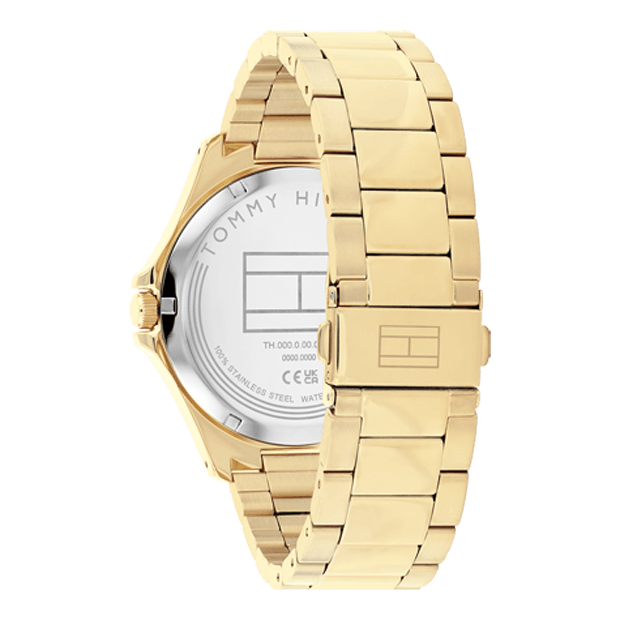 Montre  Tommy Hilfiger Bruce - 1710679