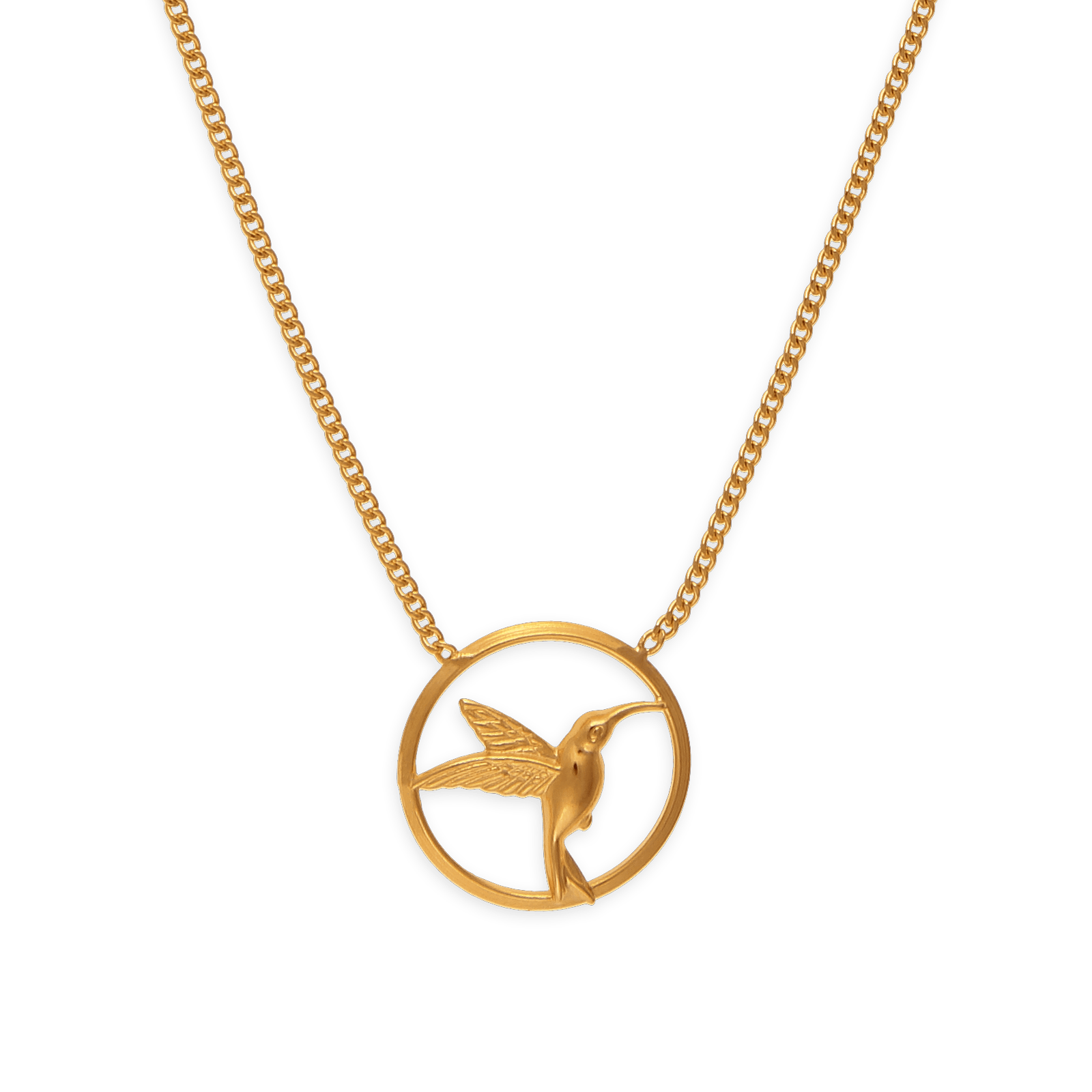 Collier chaîne plaqué or colibri cerclé
