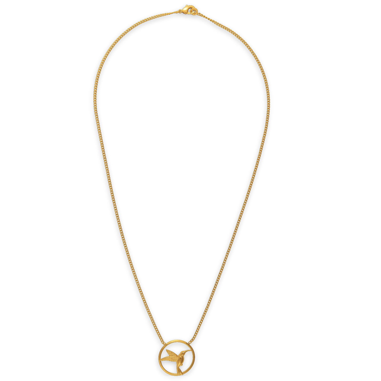 Collier chaîne plaqué or colibri cerclé