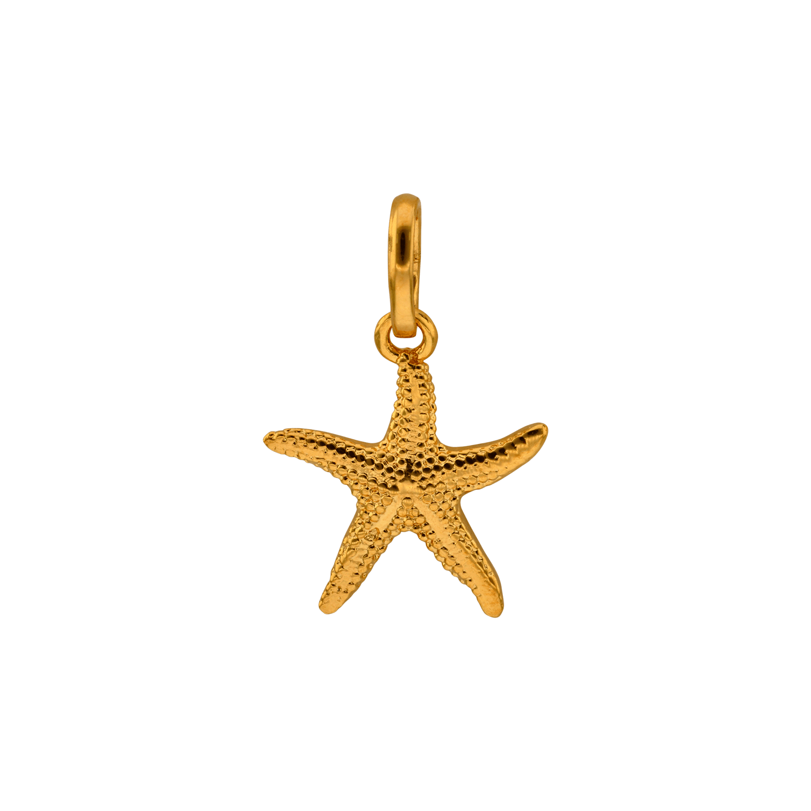 Pendentif Plaque Or étoile de mer