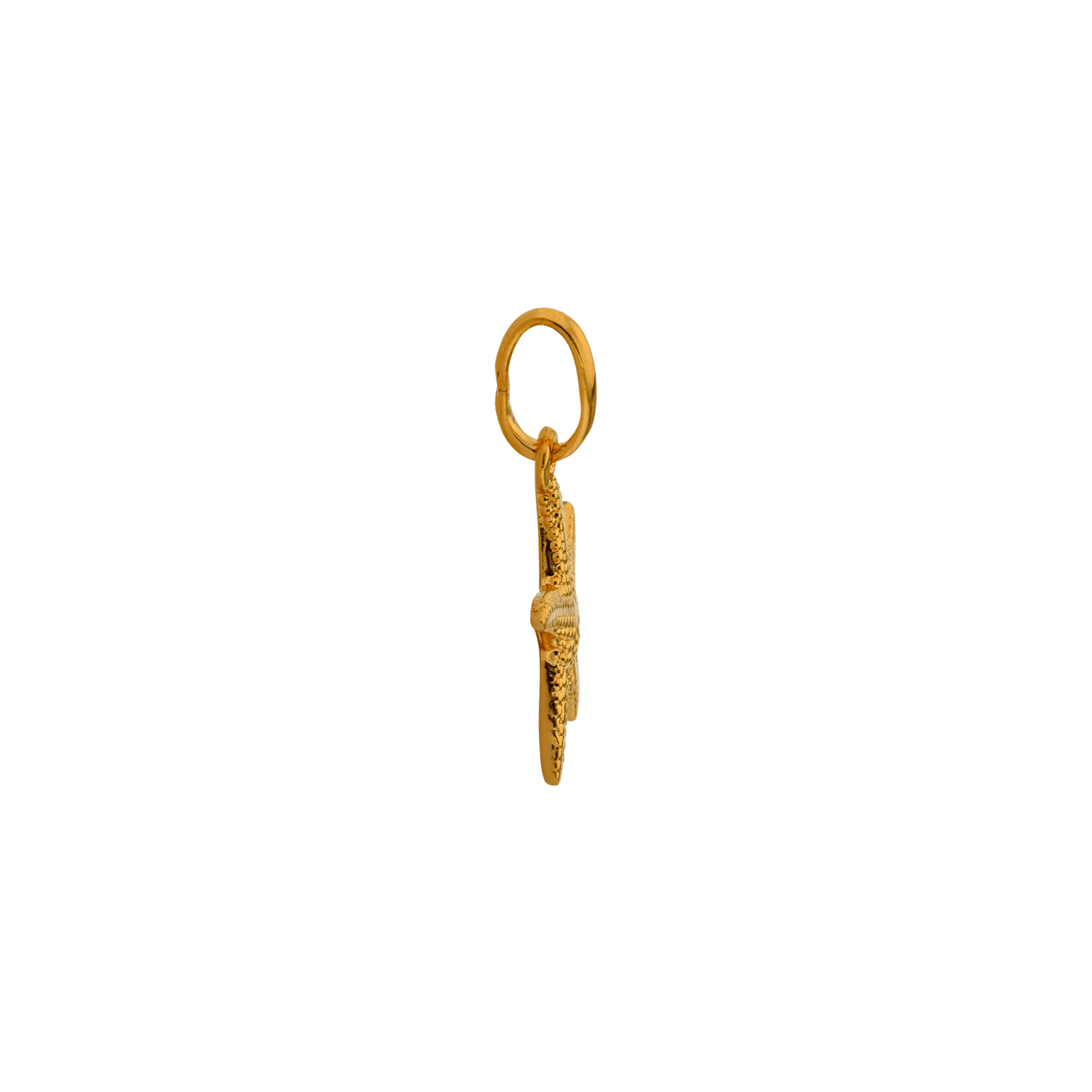 Pendentif Plaque Or étoile de mer