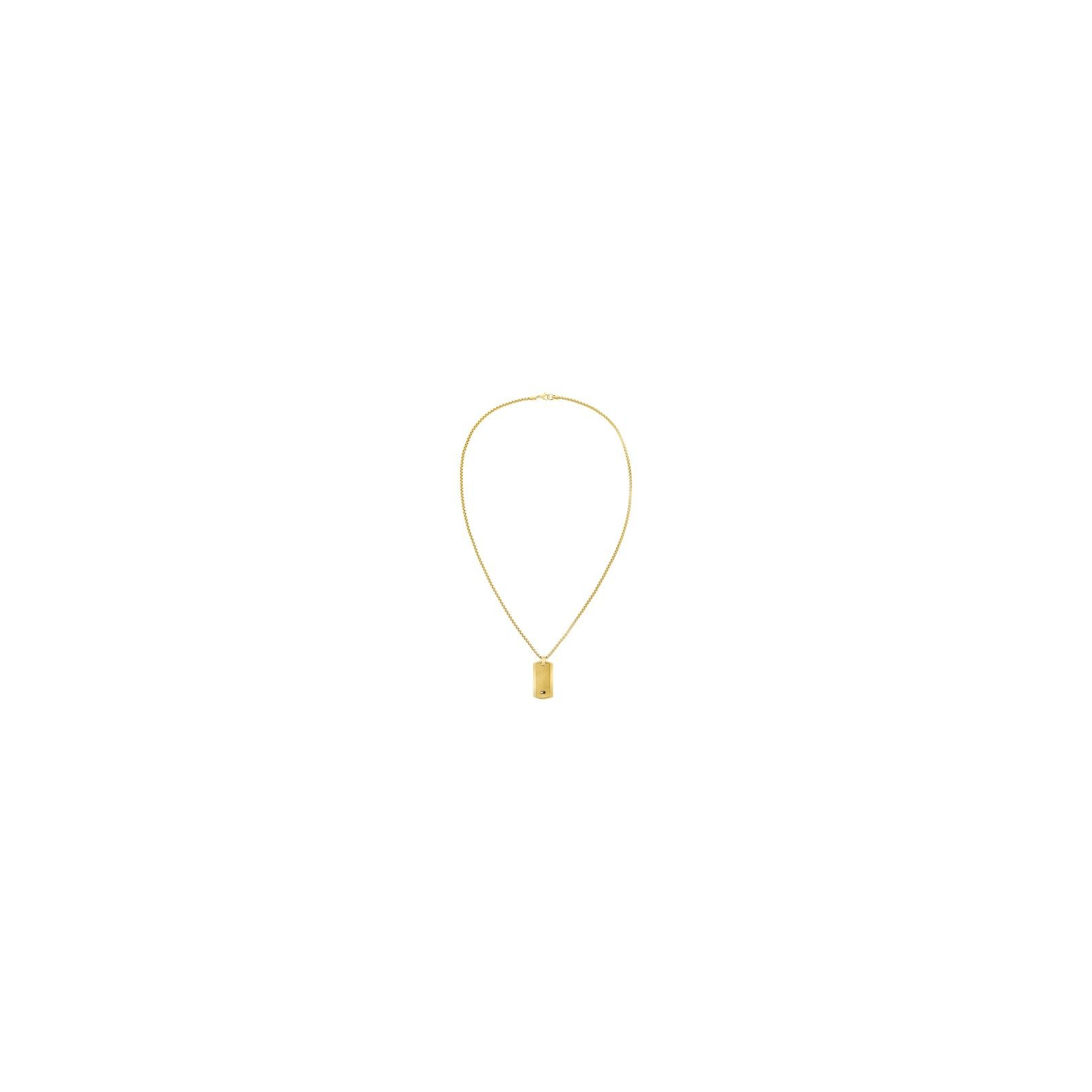 Collier Tommy Hilfiger Jameson  Acier Doré
