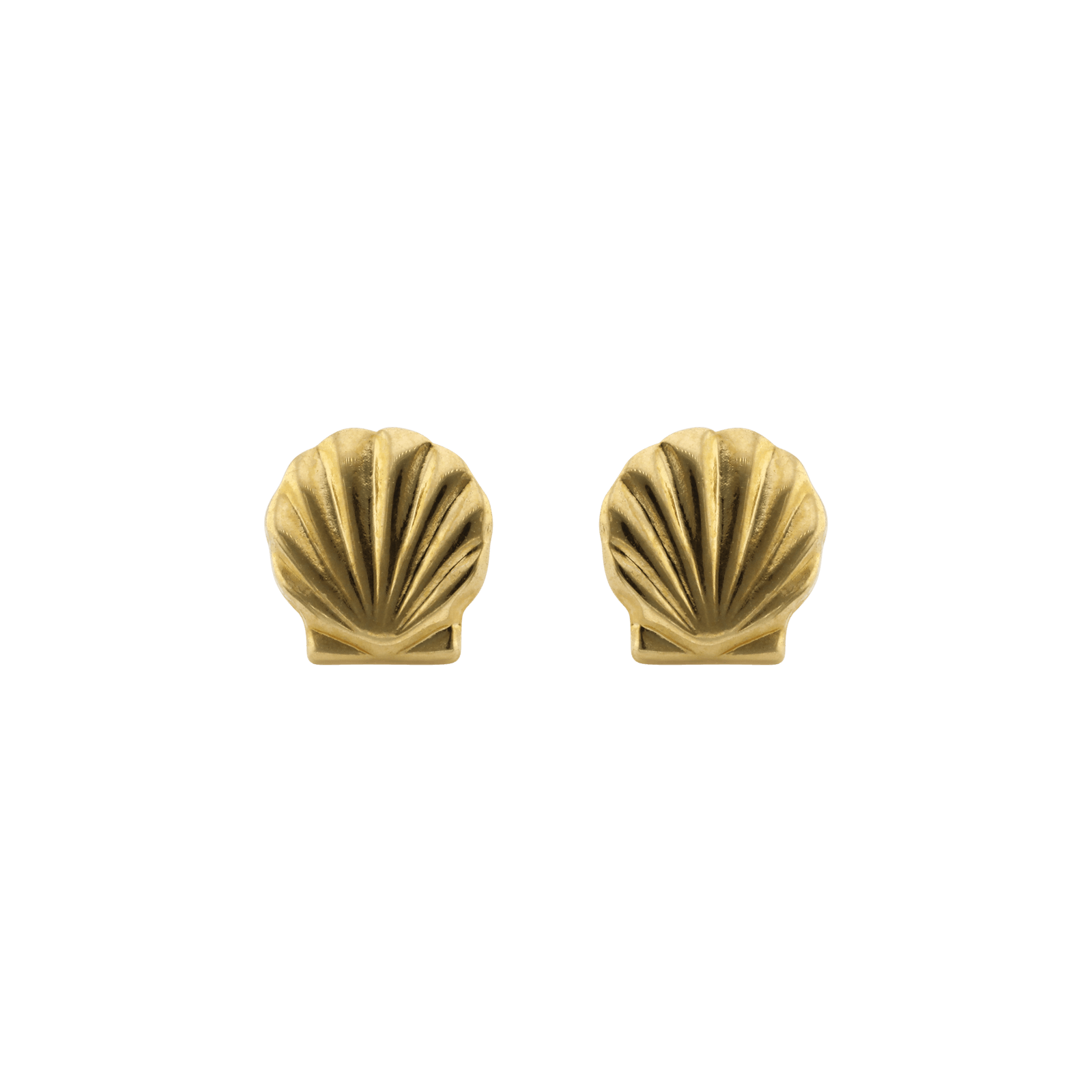 boucles d'oreilles or coquille saint jacques