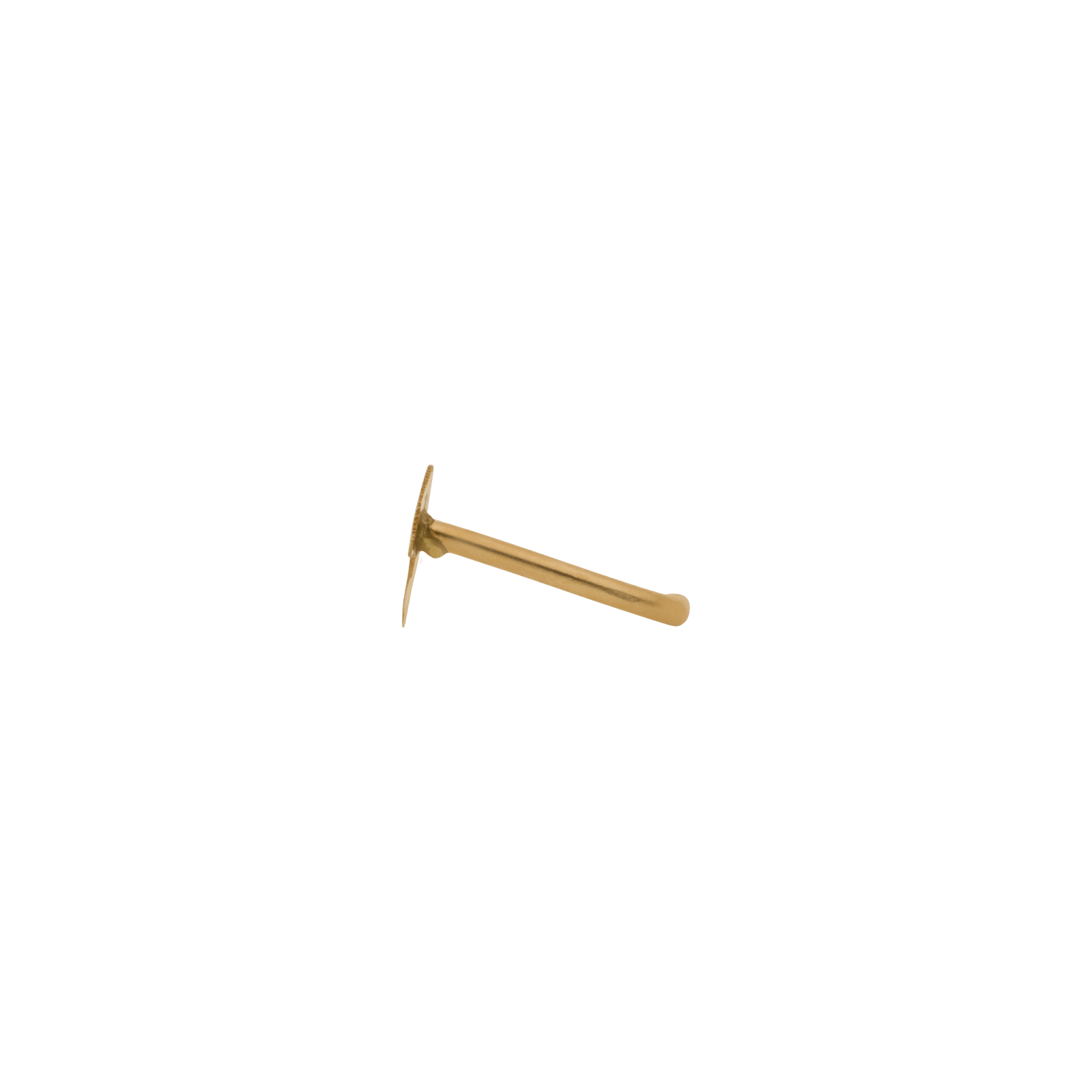 piercing nez dauphin