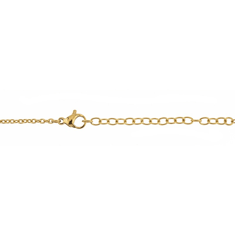 Collier Acier Bicolore Carte Guadeloupe Chaîne 2mm Plaque 19*30mm 50  à 55cm