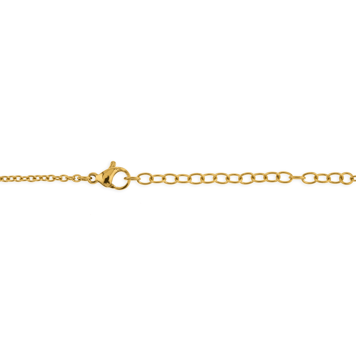 Collier Acier Bicolore Carte Guadeloupe Chaîne 2mm Plaque 19*30mm 50  à 55cm