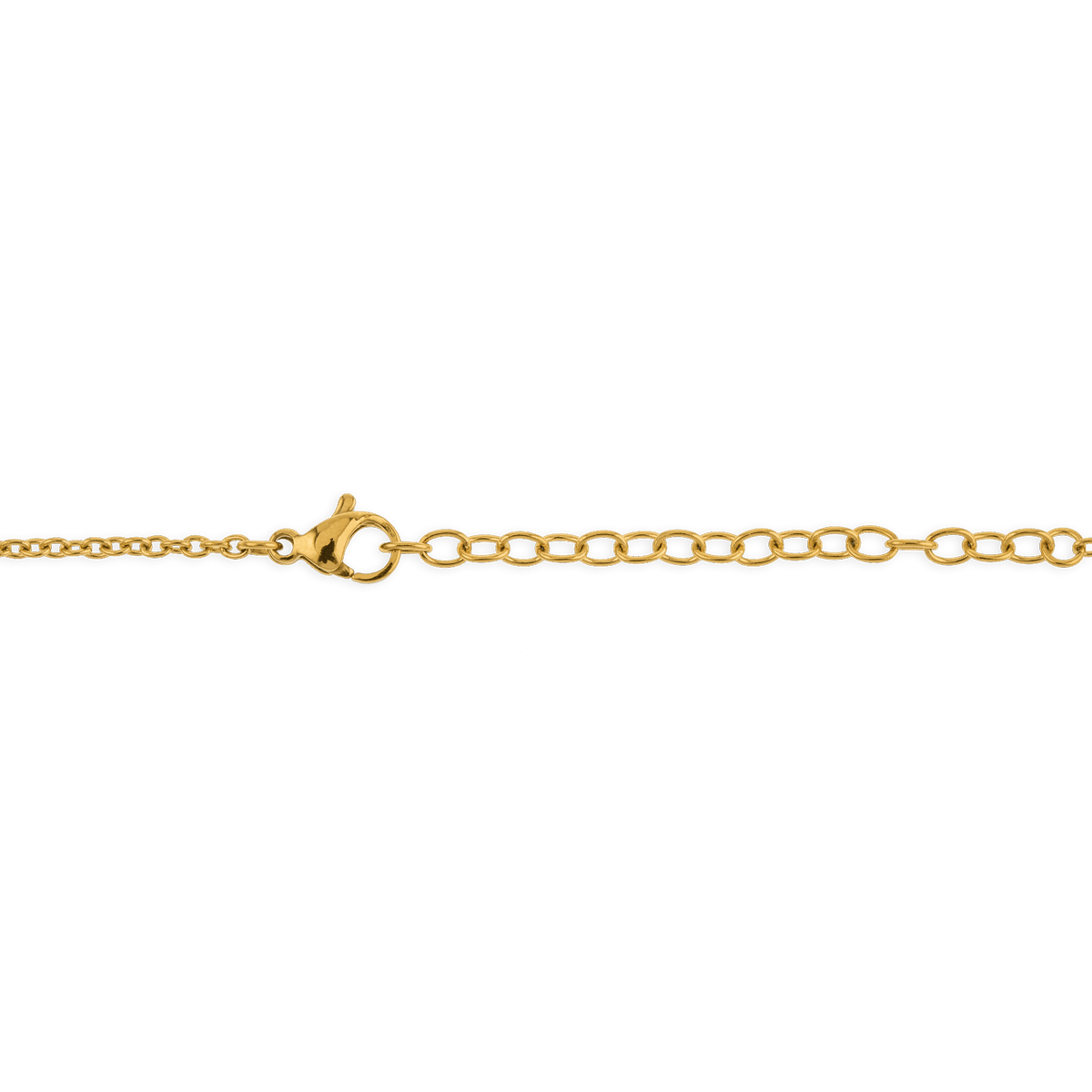 Collier Acier Bicolore Carte Guyane Chaîne 2mm Plaque 19*30mm 50  à 55cm